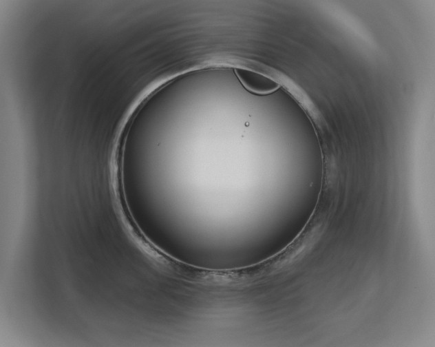 X0000113100955200909041223