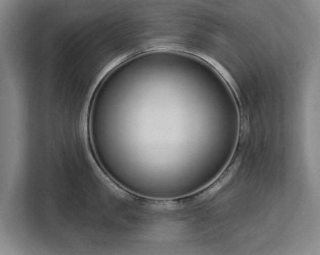 X0000113100957200909041223