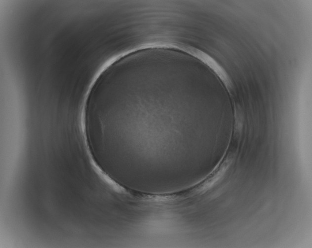 X0000113100958200909041223