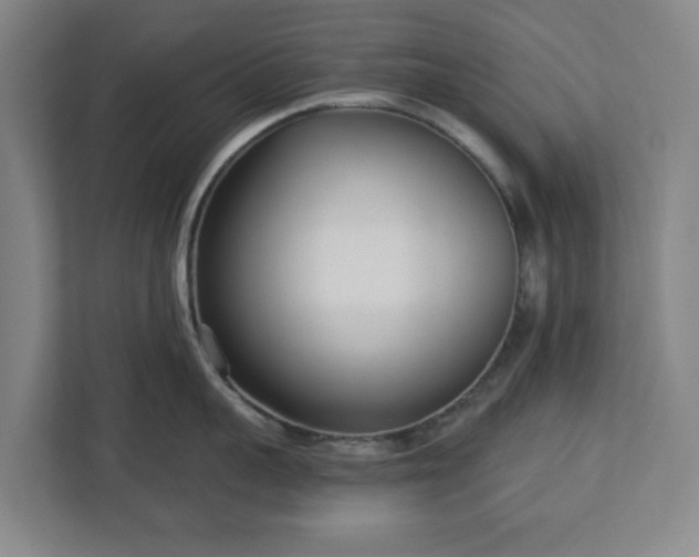 X0000113100959200909041223