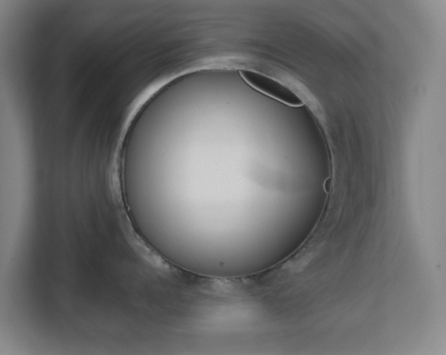 X0000113100960200909041223