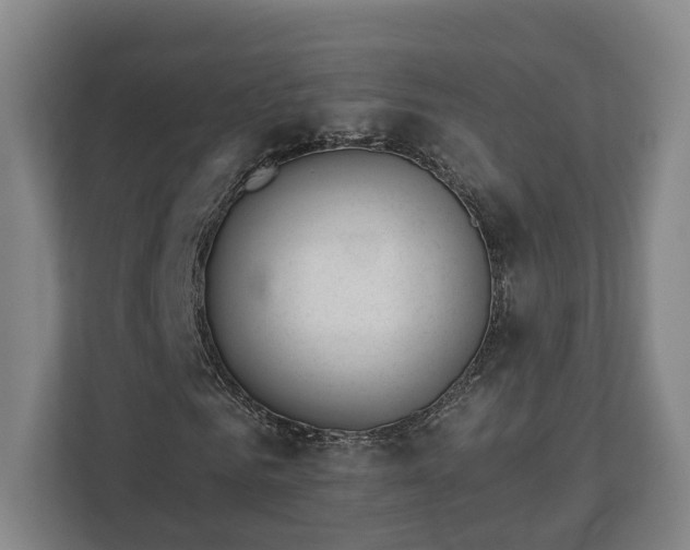 X0000113100961200909041223