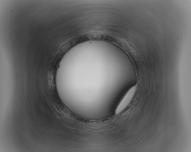 X0000113100964200909041223