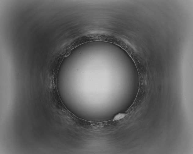 X0000113100965200909041223