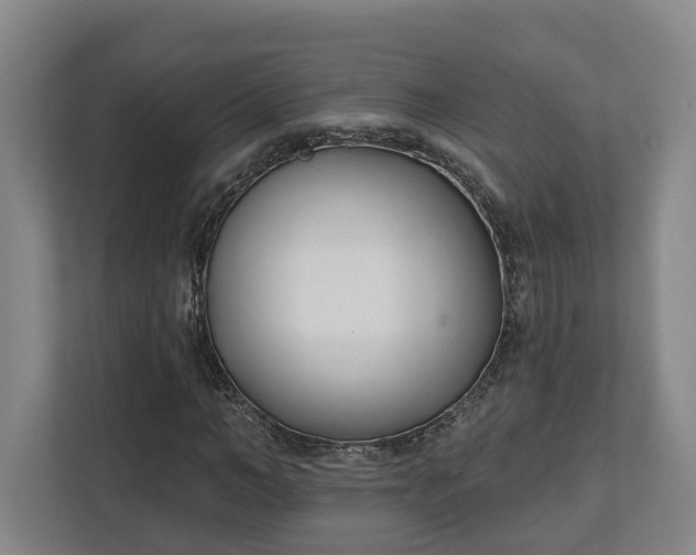X0000113100966200909041223