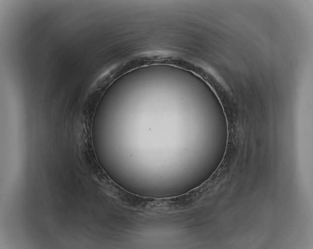 X0000113100967200909041223