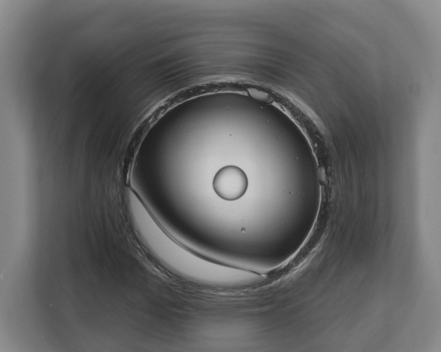 X0000113100969200909041223
