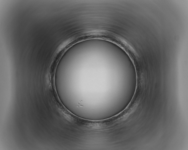 X0000113100970200909041223
