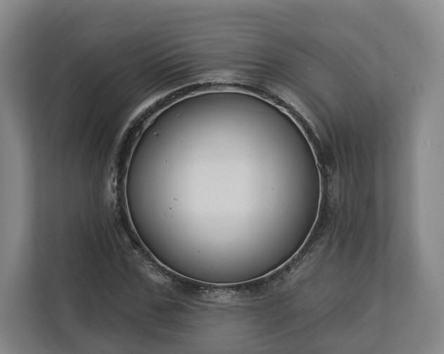 X0000113100971200909041223