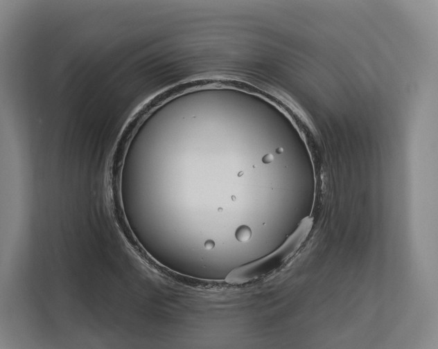 X0000113100972200909041223