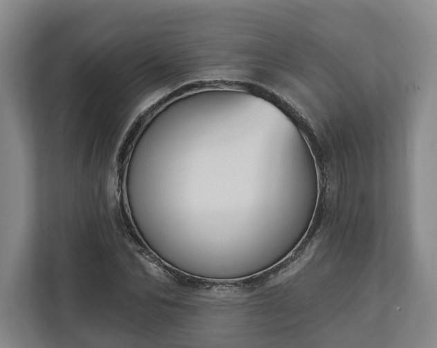 X0000113100974200909041223