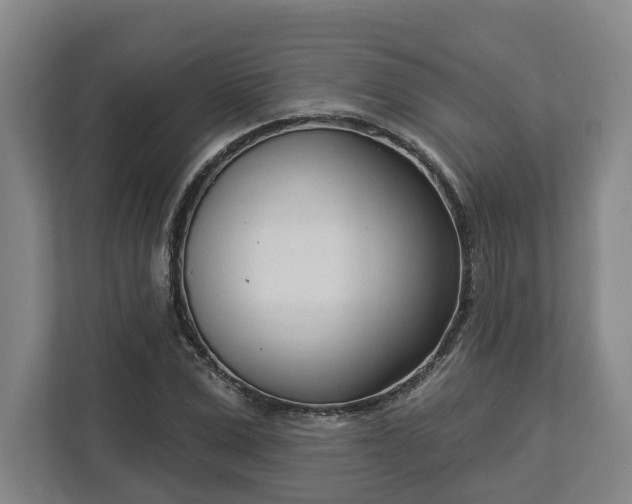 X0000113100975200909041223