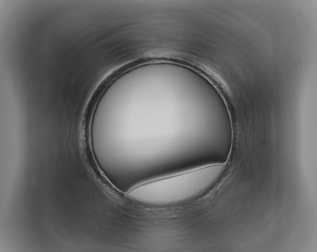 X0000113100976200909041223