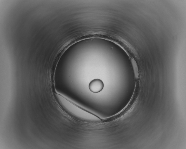 X0000113100977200909041223