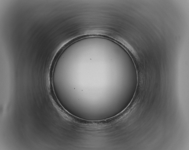X0000113100980200909041222