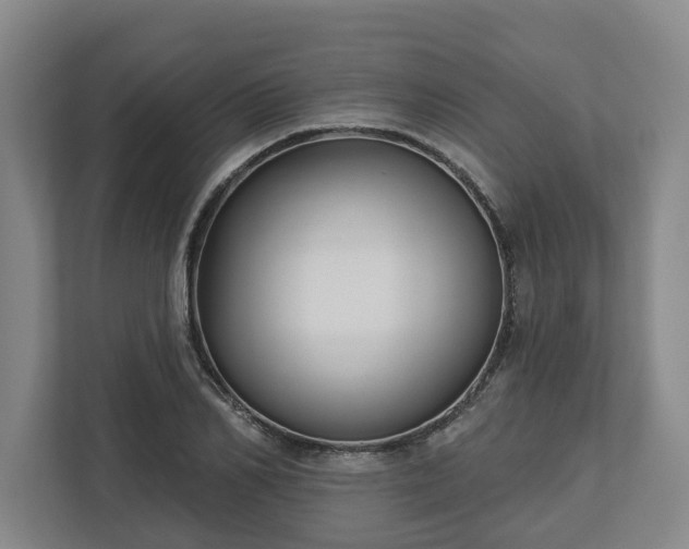 X0000113100982200909041222