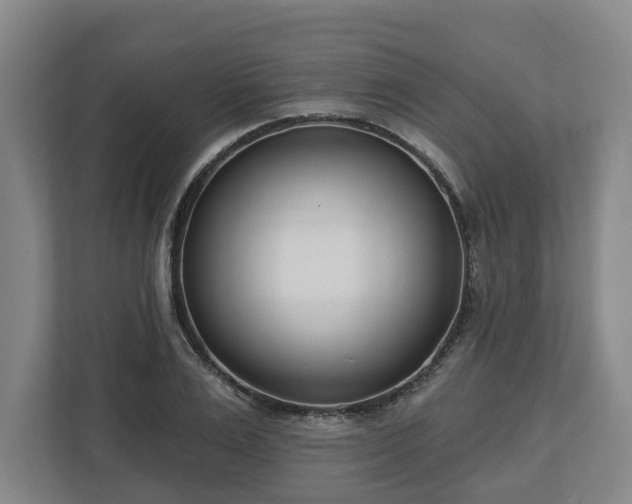 X0000113100983200909041222