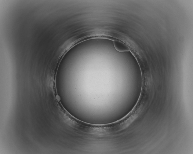 X0000113100985200909041222