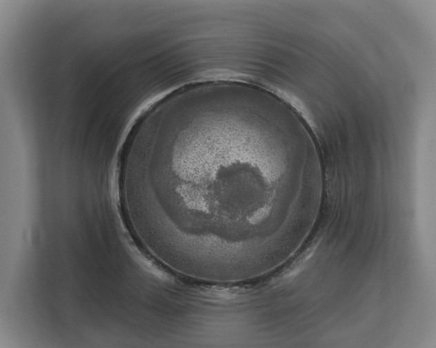 X0000113100987200909041222