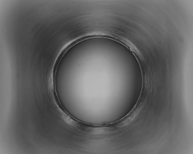 X0000113100988200909041222