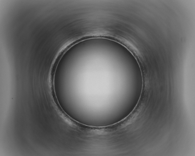 X0000113100990200909041222