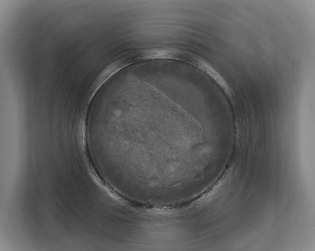 X0000113100994200909041222