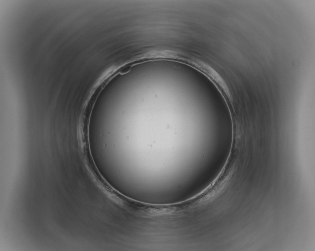 X0000113100997200909041222