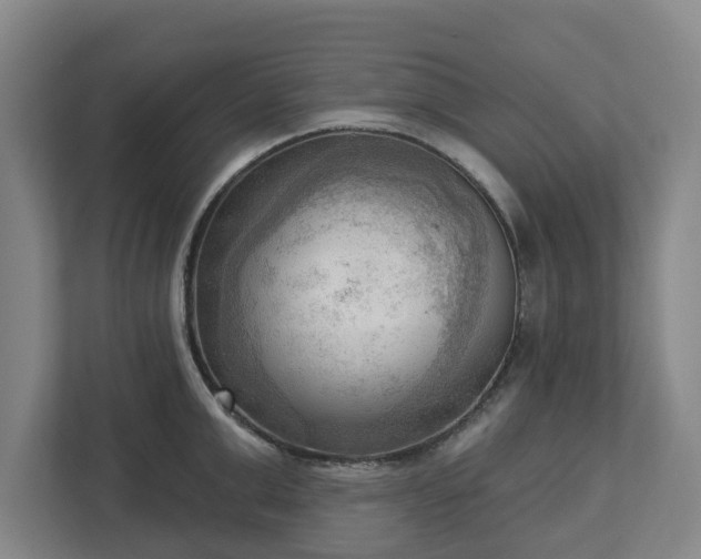 X0000113100999200909041222