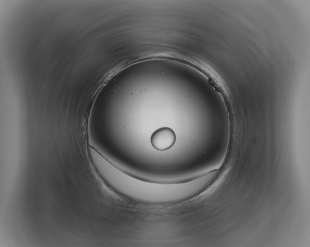 X0000113101001200909041222