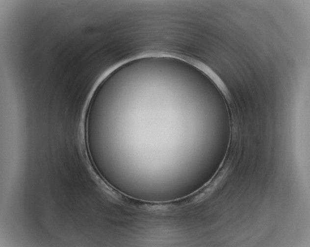 X0000113101004200909041222