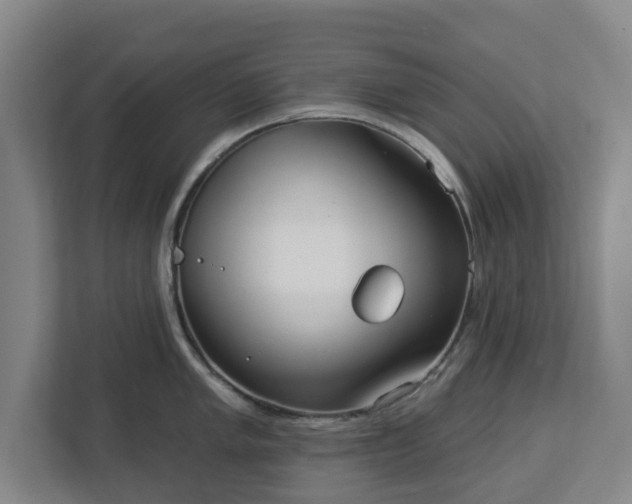 X0000113101005200909041222