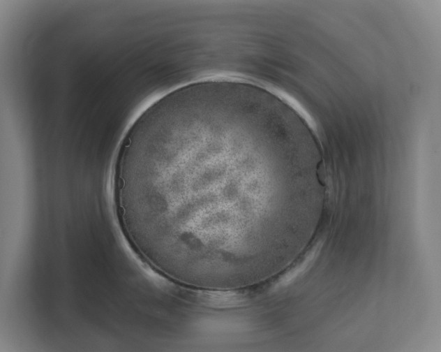 X0000113101007200909041222