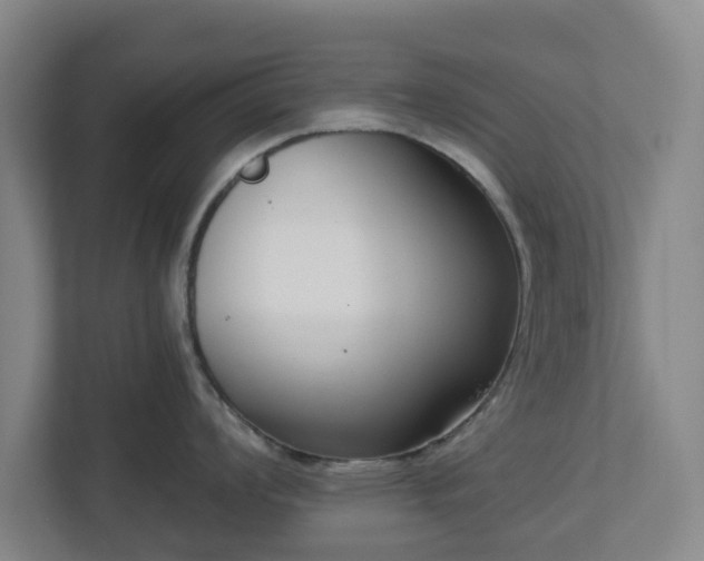 X0000113101008200909041222
