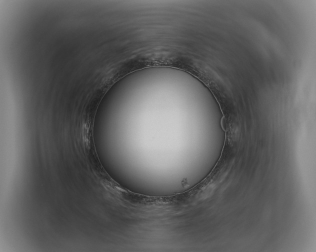 X0000113101010200909041222