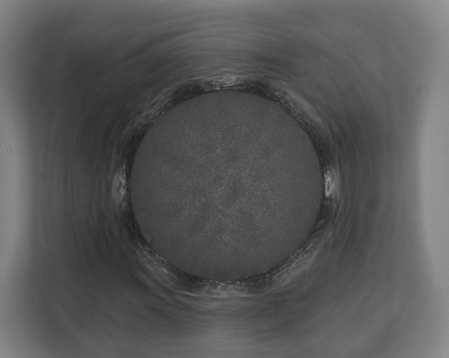 X0000113101011200909041222