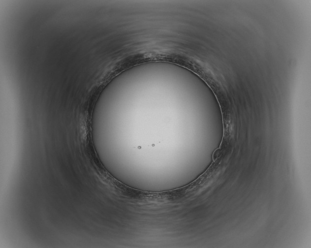 X0000113101012200909041222