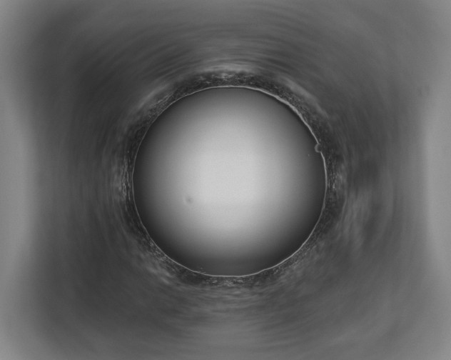 X0000113101014200909041222