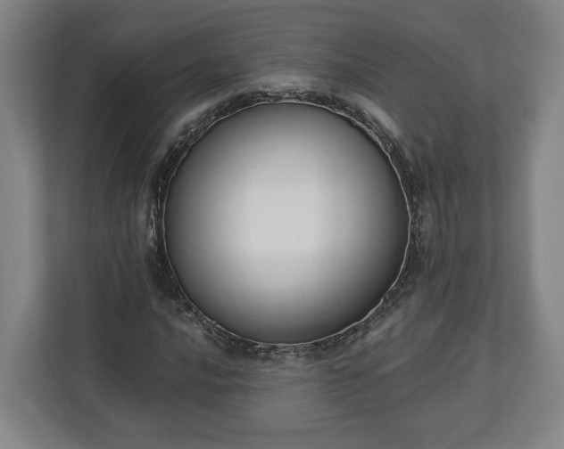 X0000113101016200909041222