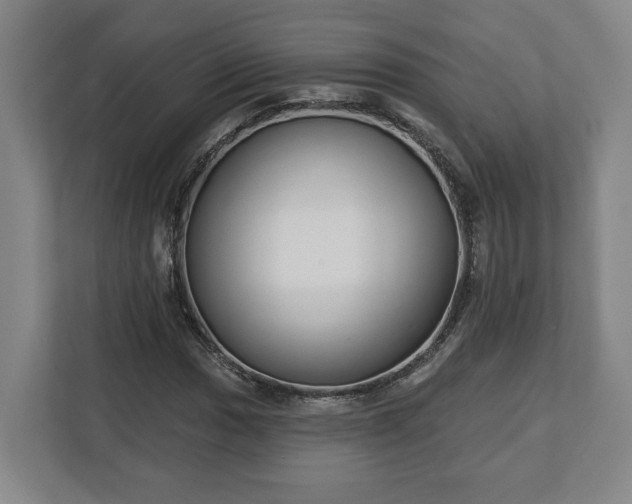 X0000113101017200909041222