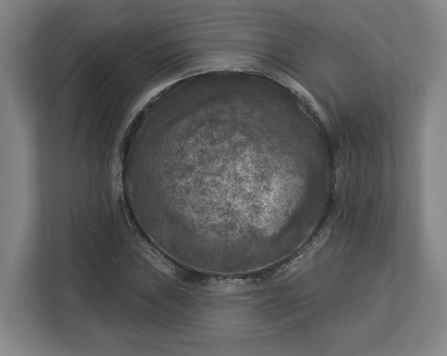 X0000113101019200909041222