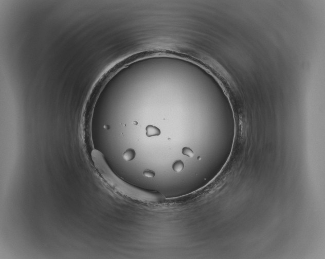 X0000113101020200909041222