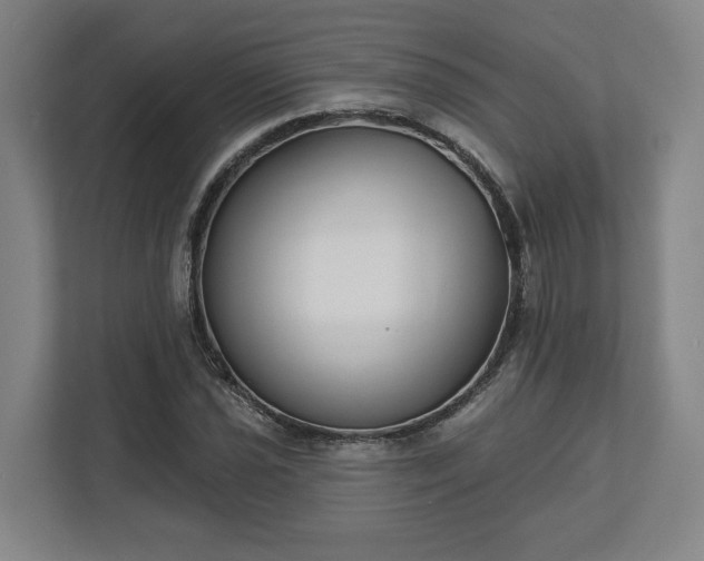 X0000113101021200909041222