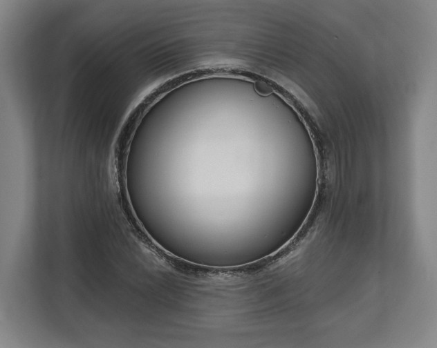X0000113101022200909041222