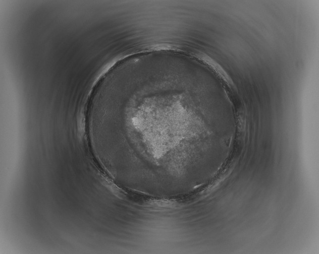 X0000113101023200909041222