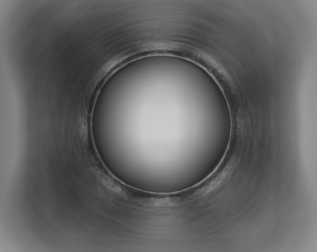 X0000113101025200909041222
