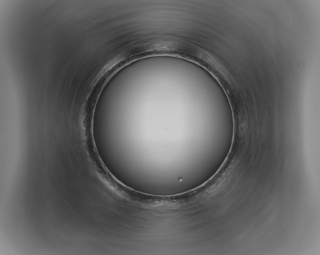 X0000113101026200909041222