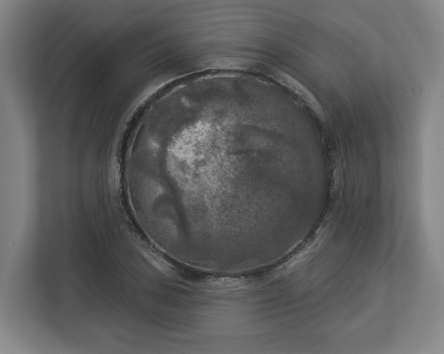 X0000113101027200909041222