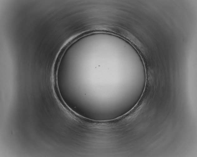 X0000113101028200909041222