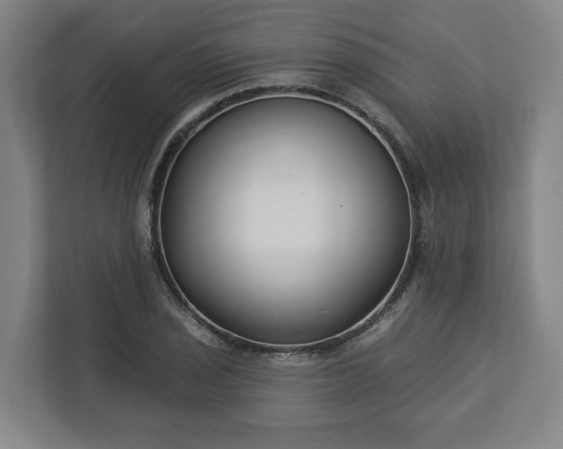 X0000113101029200909041222