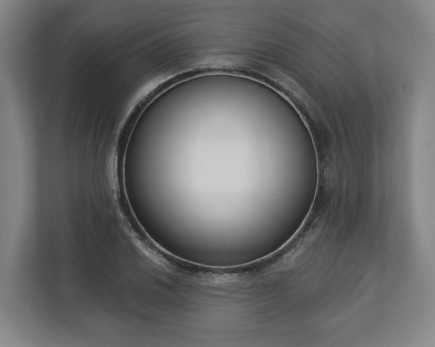 X0000113101030200909041222